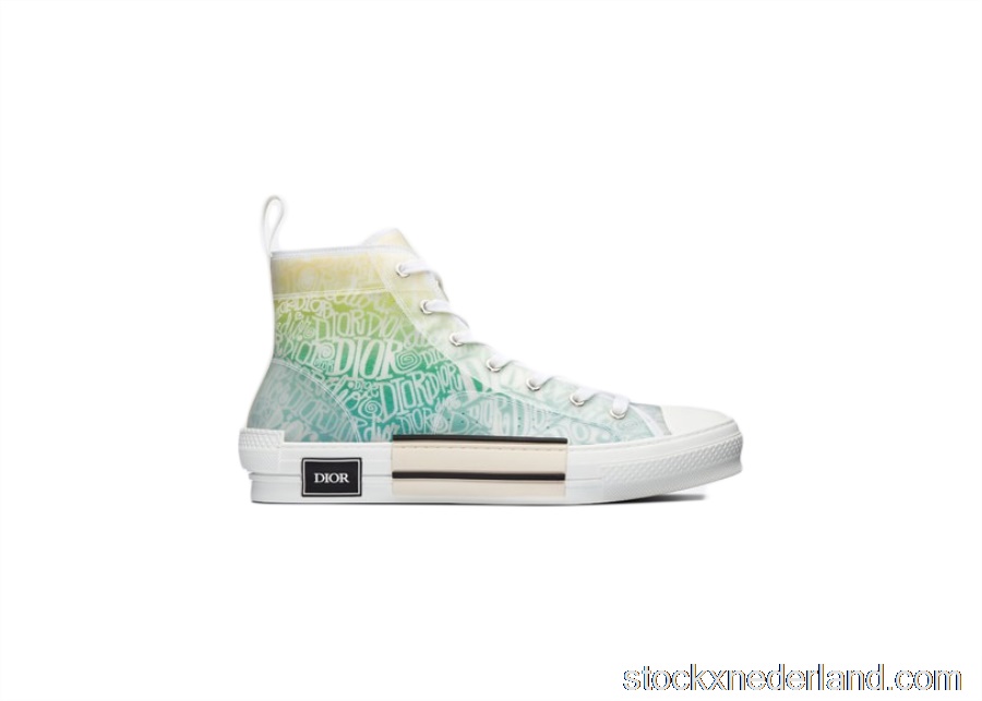 Dior And Shawn B23 High Top3SH118YYL_H661
