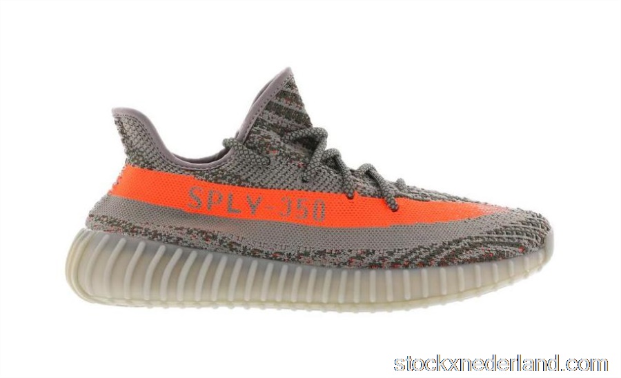 Nike SB Dunk Low Trickstar313170-702